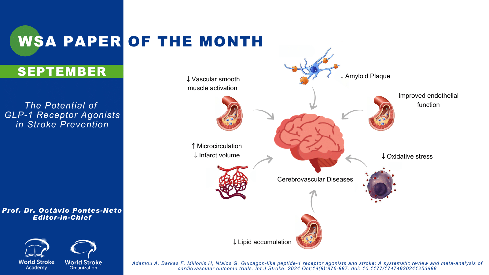 glp 1 and stroke The Paper of The Month - September