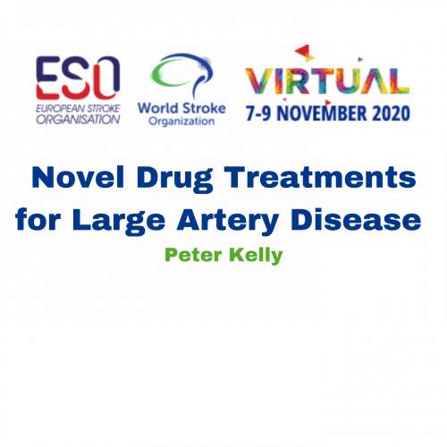 Novel Drug Treatments for Large Artery Disease – Peter Kelly