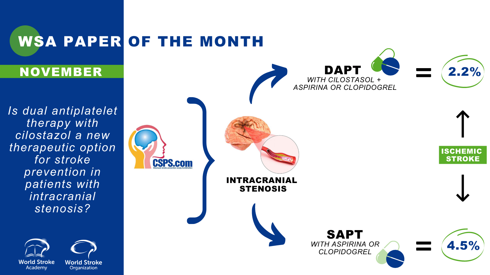 The Paper of the Month November World Stroke Academy