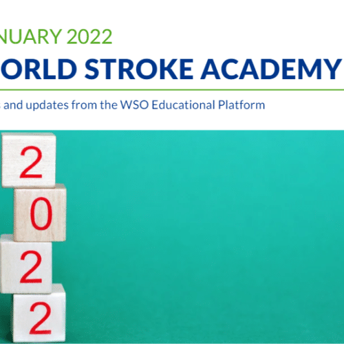 The latest WSA news & activities – January