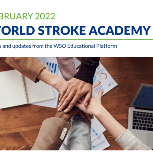 WSA Newsletter – February
