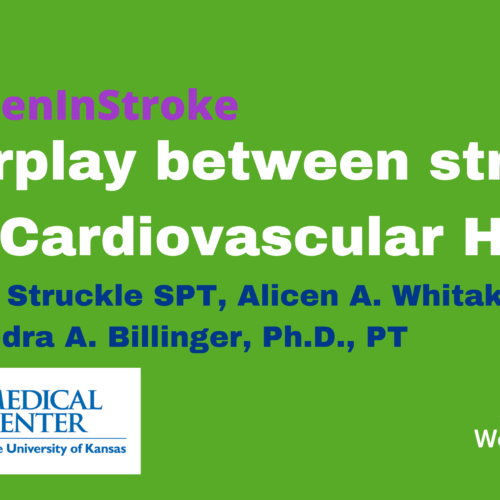 Case Study – Interplay Between Stroke and Cardiovascular Health