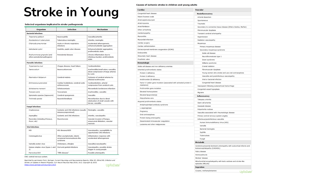Stroke in young World Stroke Academy