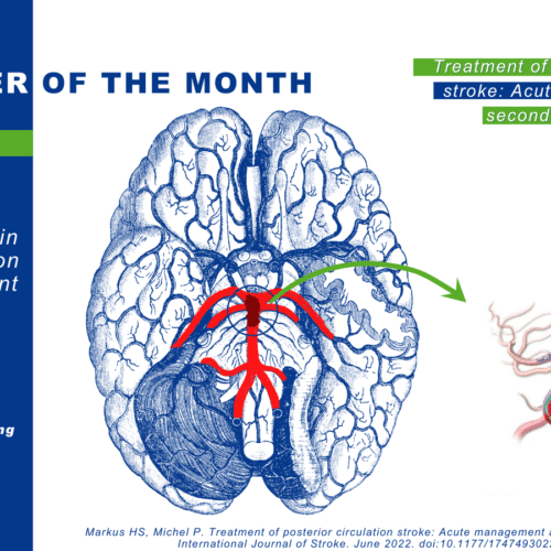 The Paper of the Month August