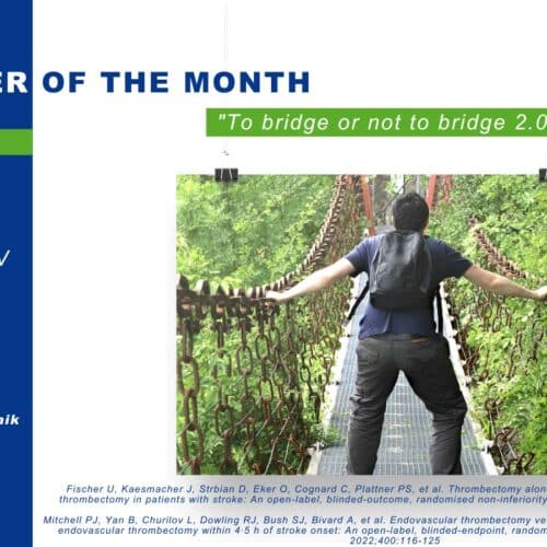 The Paper of the Month – September