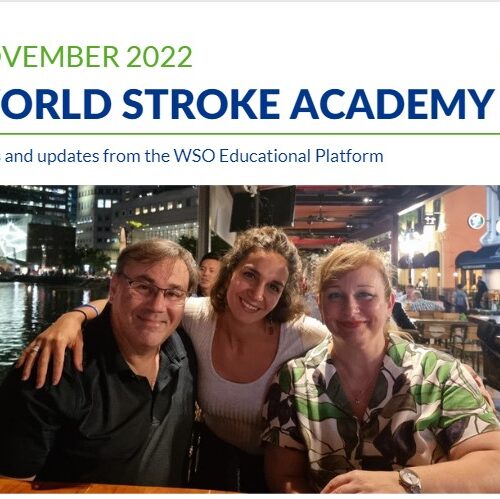 The latest WSA news & activities – November