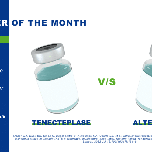 The Paper of the Month November