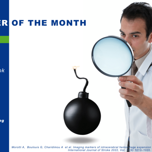 The Paper of the Month – December