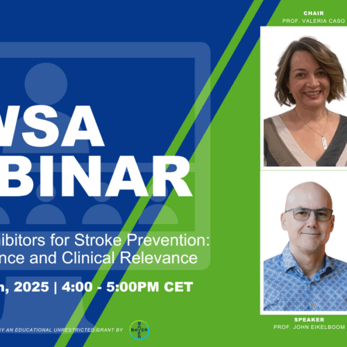 Factor XI/XIa Inhibitors for Stroke Prevention: Evolving Evidence and Clinical Relevance