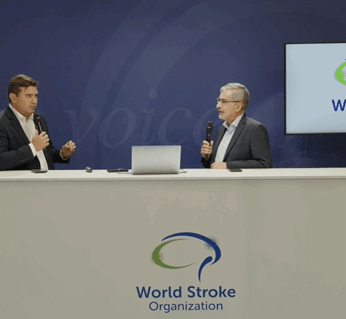 https://www.world-stroke-academy.org/media/uploads/2025/11/Screenshot-2025-11-03-145732-500x462.png