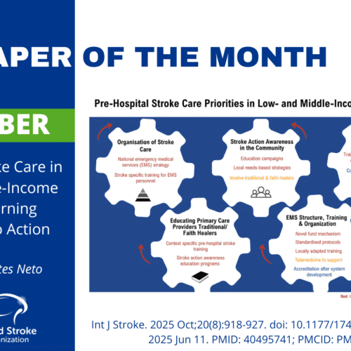 The Paper of The Month – November