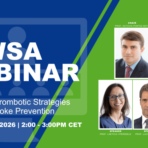 New Antithrombotic Strategies for Stroke Prevention