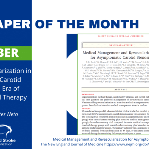 The Paper of The Month – December